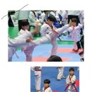 용인대아이원태권도 이미지