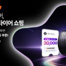 티스테이션예산