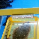 수산물직판장(19호) 이미지