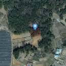 군산시-00041 네이버블로그