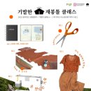 리디자인 - 양천구 남부순환로 | 리디자인