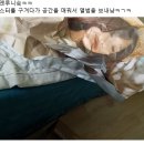 현재 논란된 가수 포스터를 완충제로 쓴 반디앤루니스 이미지