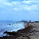 칠포2리 이미지