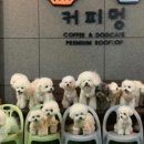 커피멍 - 원주시 | 커피멍