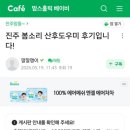 권*정