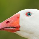 선 행정사 사무소 이미지