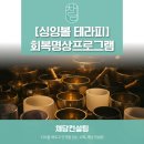 행복한 멘탈을 위한 마음 충전 | [싱잉볼 테라피] 뇌 피로 풀어주는 웰니스 프로그램