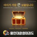 용인대삼성태권도 이미지