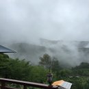 숲속맑은꼴