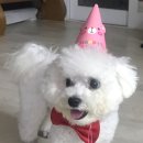 베이컹리 이미지