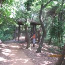 표교초교 이미지