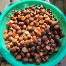 운마 | 전북 전주 군산 익산 진안 구운마을 사회 MC 웃음치료 레크레이션 김미란강사