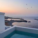 코랄트리 풀빌라 | 포항 펜션 호미곶 신상 풀빌라 프리미엄 가족숙소 추천 코랄트리풀빌라 숙박 후기