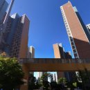 두미포로2 이미지