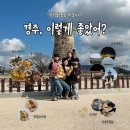 문화관광단지 N카페 건너편 | 아이들과 함께한 경주여행 내돈내산 총정리(가볼만한곳부터 맛집까지)