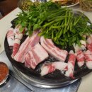 상록수집 이미지