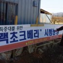 웰빙영농조합 법인농장 이미지