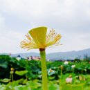 달천계곡 오토캠핑장 이미지