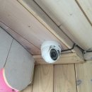 체육공원앞 이미지