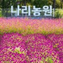 초록빛 농원