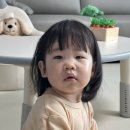 [~459일]15개월 아기 일상, 성장 기록, 15개월진입, 애냥육아