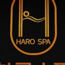 하로스파 이미지