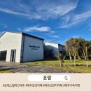 포레스텔라인제주 | ☕️제주 포레스텔라 인 제주 카페 후기｜통창 뷰·초록 힐링 가득한 감성 카페 추천