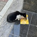 어도러블꽁뜨