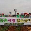 김성복 농장 이미지