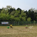 영종초등학교 금산분교 이미지