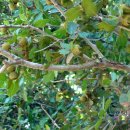 나무나무 이미지