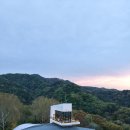 나무드론 티스토리