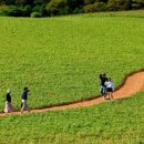 협심농장 이미지