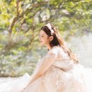 스튜디오배 이미지