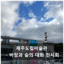 숲의 마음 | 제주도립미술관 '바람과 숲의 대화' 전시회 관람 후기