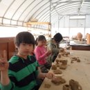 안평초등학교 이미지