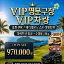 VIP골프