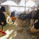 일구농장3 이미지