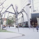 돈키호테안경콘택트 이미지