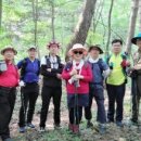 대관령 하루 이미지