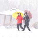 Snow County 코리아중앙데일리