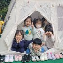 파랑반의 camping day 사진 모음집 1탄 📷 이미지