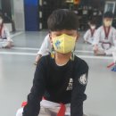 경희대청도태권도장 이미지