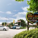 운연동 추어마을 이미지