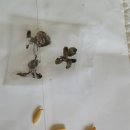 신영농원 이미지