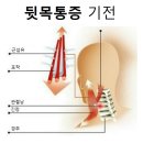 뒷골2로4 이미지