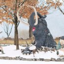 석장리박물관10 이미지