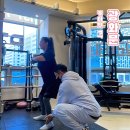 케이나인 트레이닝 센터 | 광화문 pt 케이핏에서 본격적으로 피티 시작