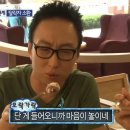 향수농장 | [옥천] 향수 옥천 포도 복숭아 축제 | 13박스 내돈내산 구매 후기 추천 농가
