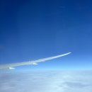 732 | 에어프레미아 도쿄 후기 : YP731, 732 이코노미 지연 연착 및 기내식 간식